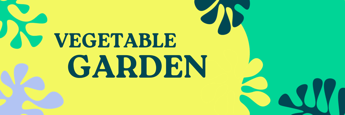 Vegetable Garden